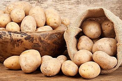 《动物派对》Steam低价区售价调整 国区价格保持不变